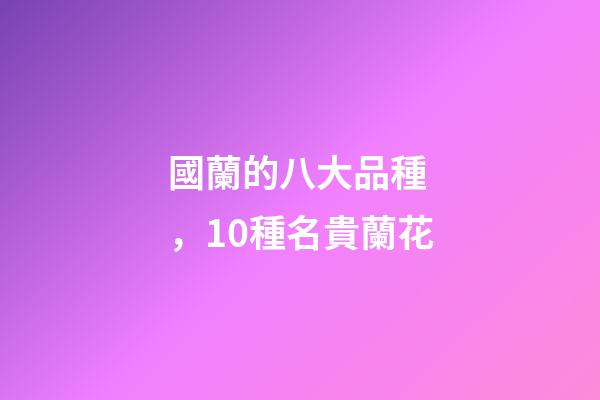 國蘭的八大品種，10種名貴蘭花-第1張-觀點-玄機派